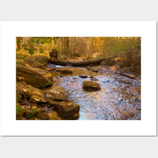 Mountain Stream Posters and Art